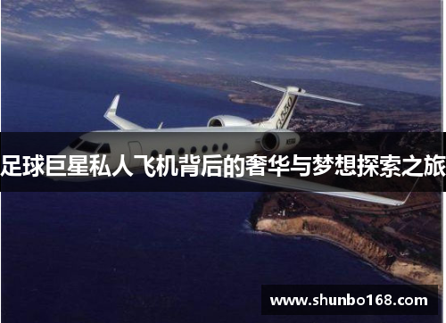 足球巨星私人飞机背后的奢华与梦想探索之旅