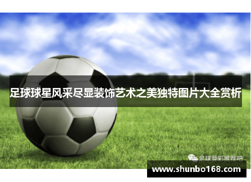 足球球星风采尽显装饰艺术之美独特图片大全赏析